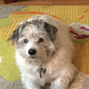 Meet your Posher, Monica